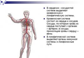 Презентация по анатомии на тему сердечно-сосудистая система подготовила Работа сердца в цифрах