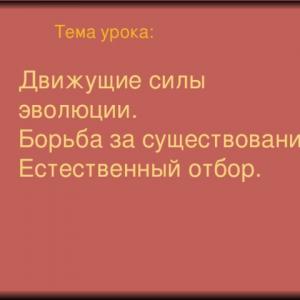 Движущие силы и факторы эволюции презентация