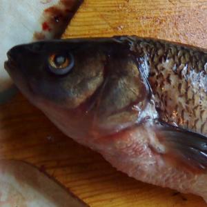 Как запечь рыбу язь в духовке