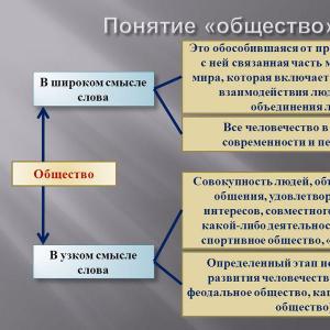 Общество в широком и узком значении