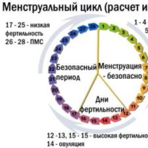 Менструальный цикл: норма, сбои, нарушения