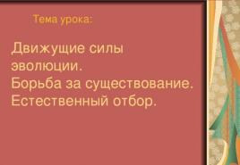 Движущие силы и факторы эволюции презентация