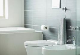 Feng Shui regler för toaletten, badrummet och toalettskålen: plats, färg, inredning