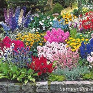 Φθινοπωρινά λουλούδια - το όνομα των πιο όμορφων φυτών