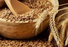 Tahıl satan bir işletme nasıl açılır?