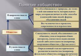 Общество в широком и узком значении