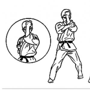 Πώς να μάθετε πώς να πολεμήσετε στο σπίτι Πώς να μάθετε το Karate Home Περιβάλλον